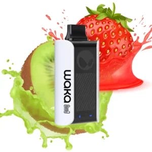 Waka Sopro - 18000 Puffs - Strawberry Kiwi 5%